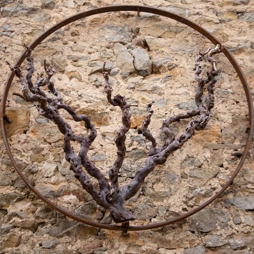 Domaine Les Noyers depuis 1862